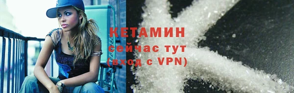 шишки Вяземский