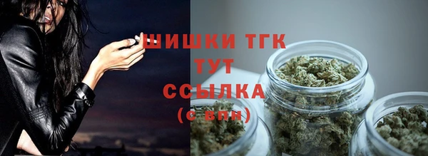 шишки Вяземский