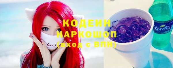 шишки Вяземский