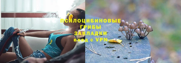 дживик Вязьма