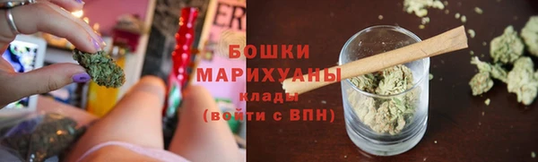 шишки Вяземский