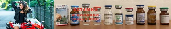шишки Вяземский