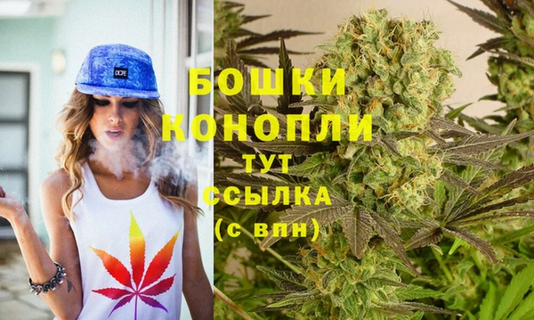 дживик Вязьма