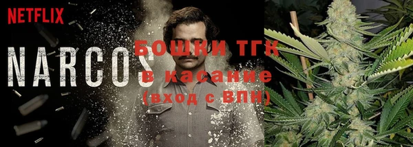 СК Горняк
