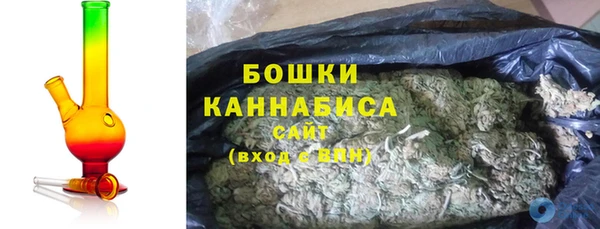 дживик Вязьма