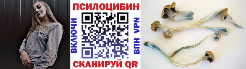 Псилоцибиновые грибы GOLDEN TEACHER  Звенигово 